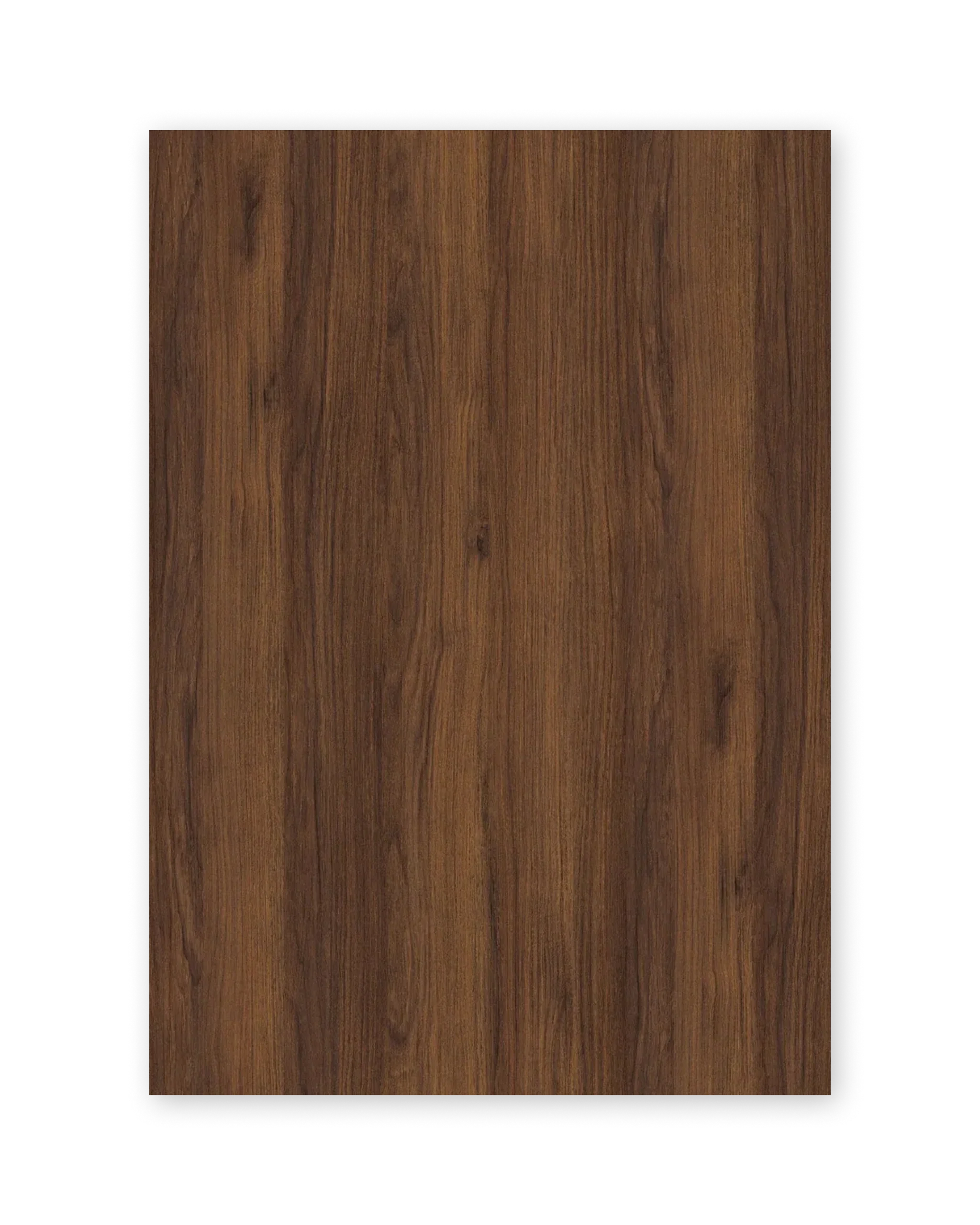 Chestnut
